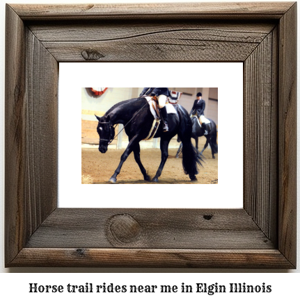 horse trail rides near me in Elgin, Illinois